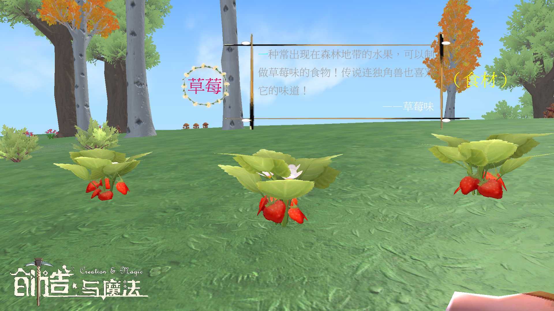 创造与魔法羊毛有什么用