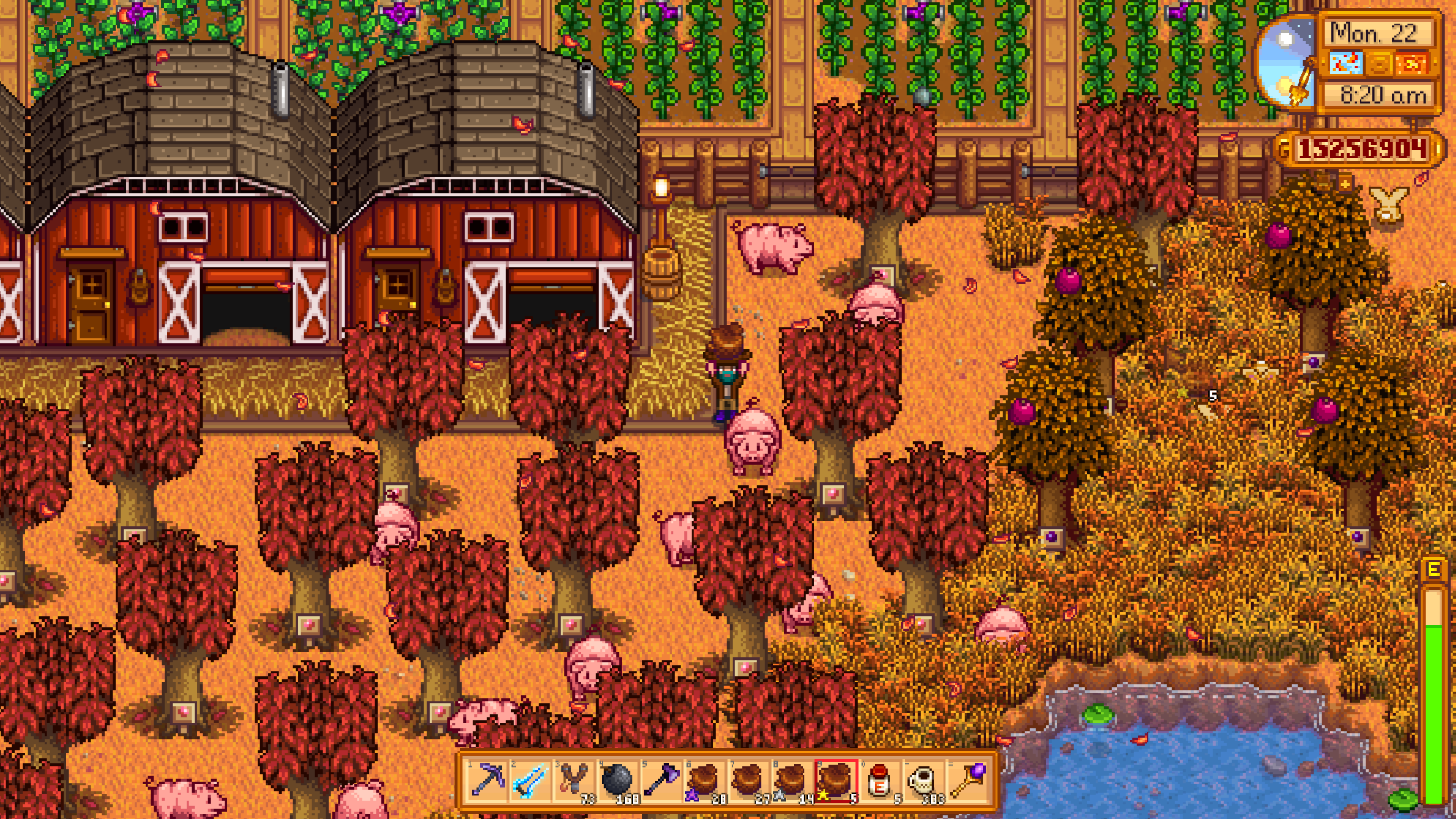 星露谷物语丢掉的东西怎么找回来