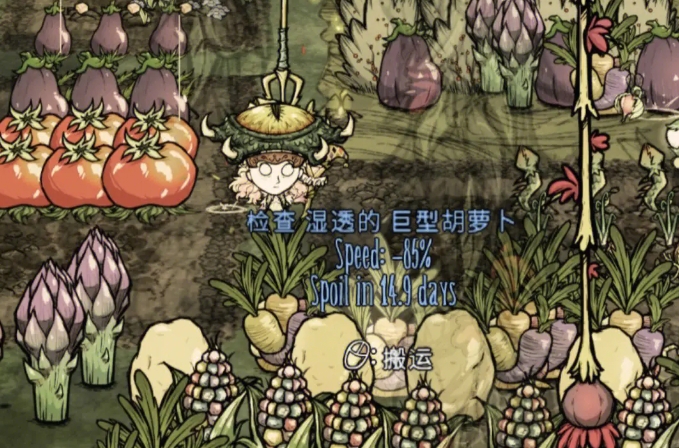 饥荒星空怎么带地上