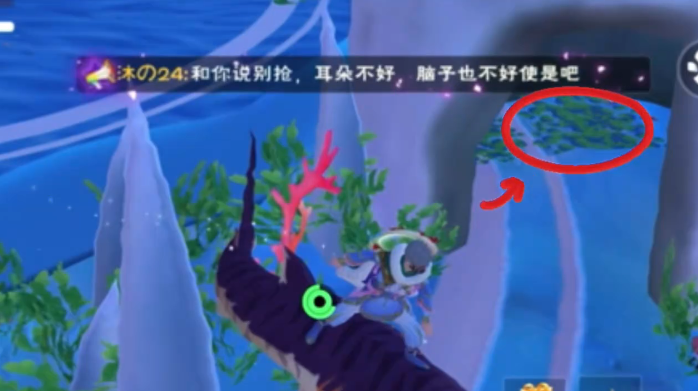 创造与魔法龟壳哪里有