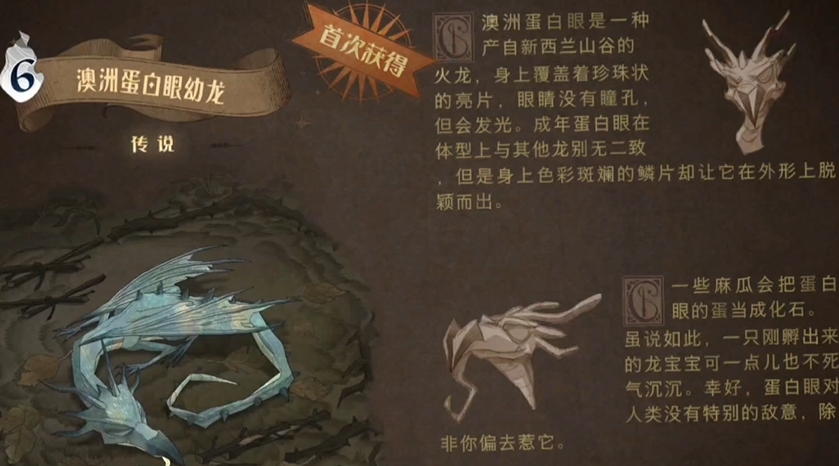 哈利波特白眼幼龙卡组怎么搭配