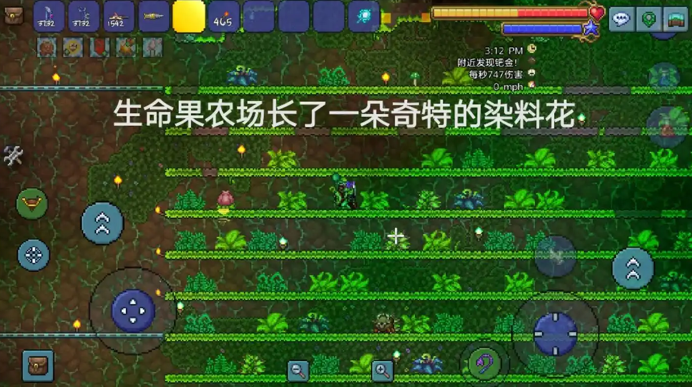 泰拉瑞亚怎么判断植物成熟