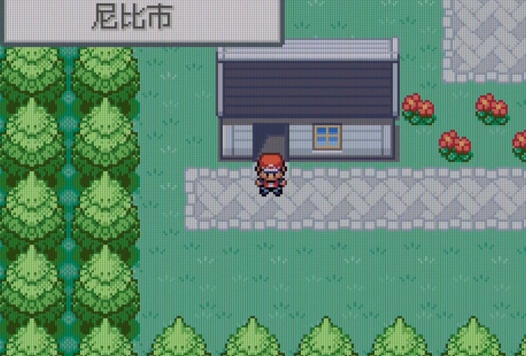 口袋妖怪火红尼比市道馆怎么打