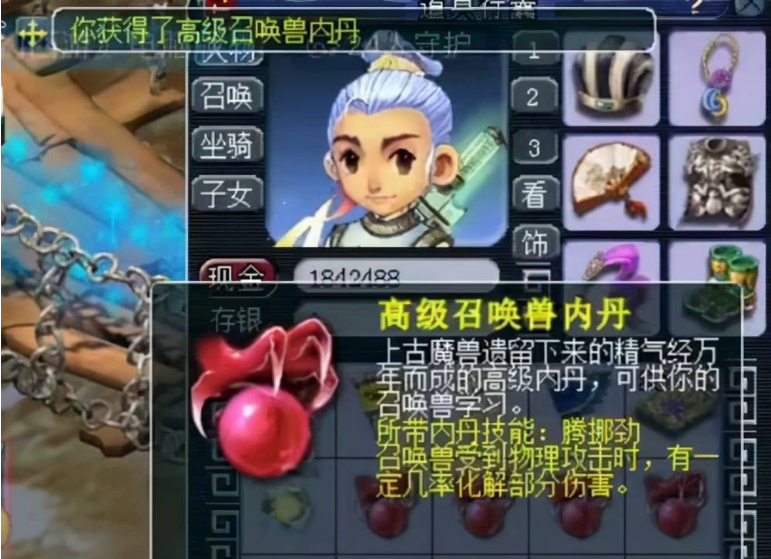 梦幻西游宠物怎么使用内丹