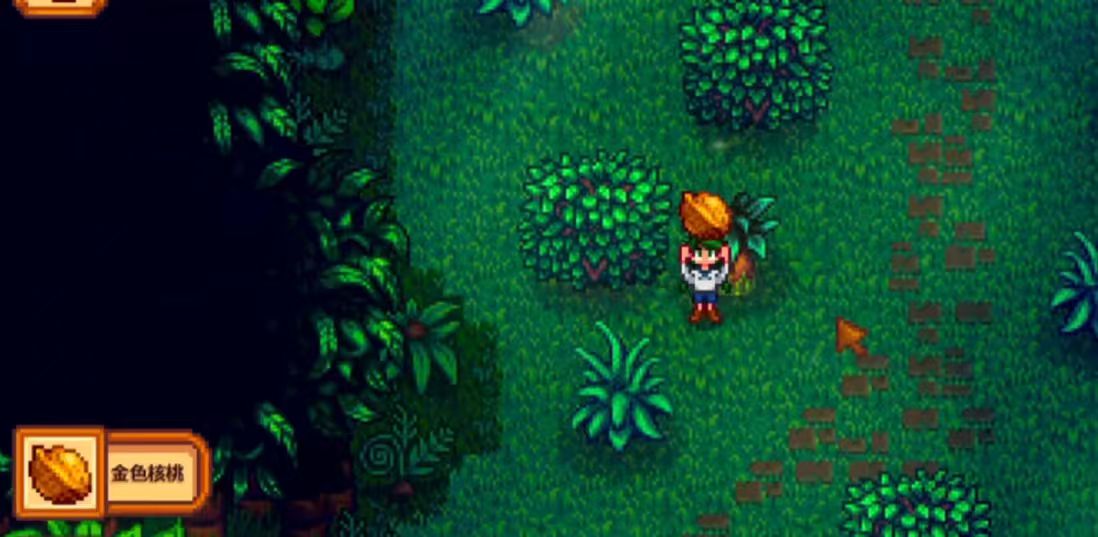 星露谷物语姜岛西部在哪