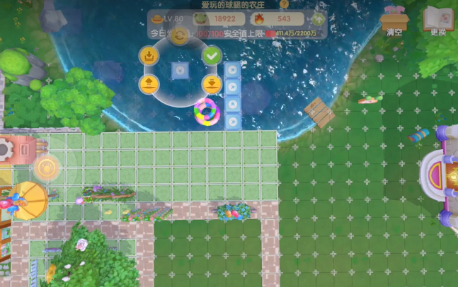 摩尔庄园水上怎么放东西