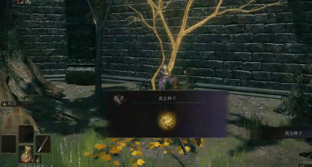 艾尔登法环开局怎么出门打怪