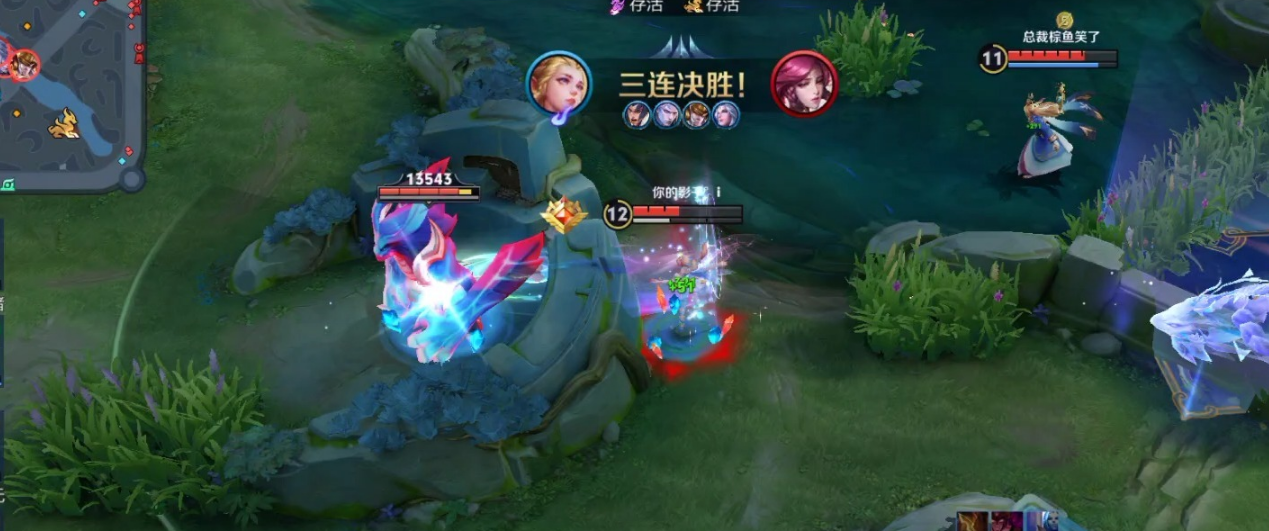 王者荣耀艾琳纯法如何搭配