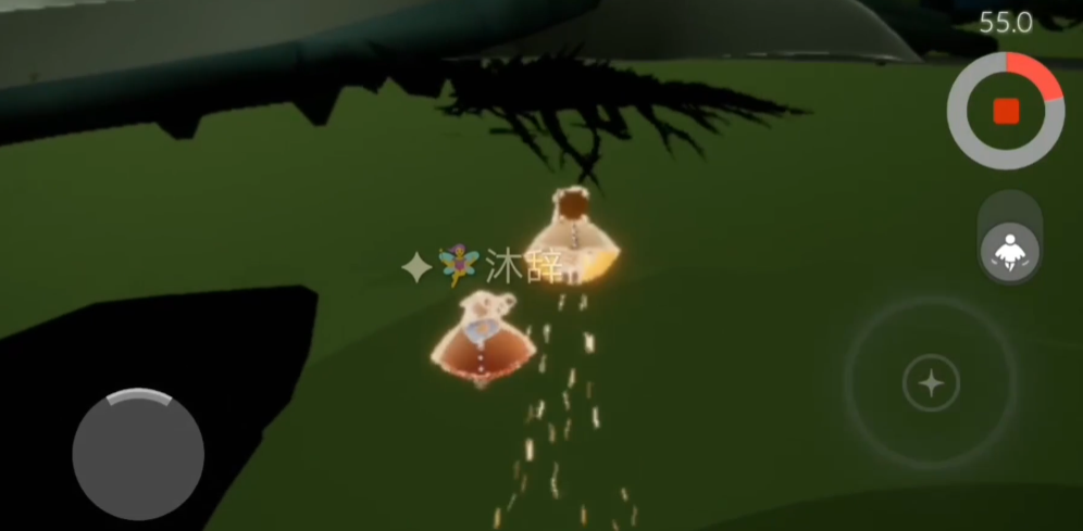 光遇黑鸟要注意什么