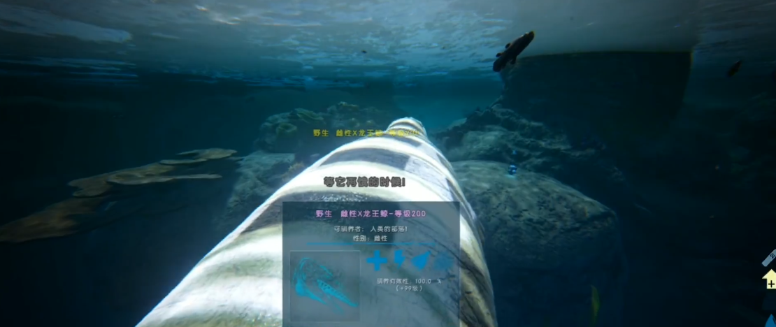 方舟生存进化龙王鲸怎么驯服