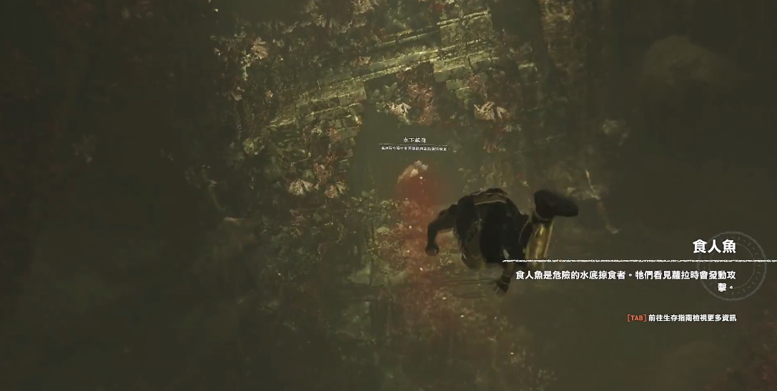 古墓丽影食人鱼怎么过