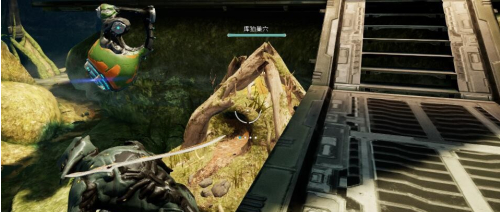 星际战甲野生库狛蛋在哪