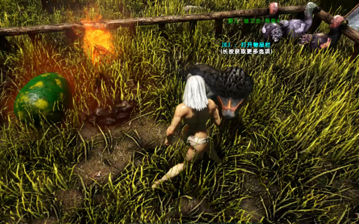 方舟生存进化镰刀龙怎么训的快