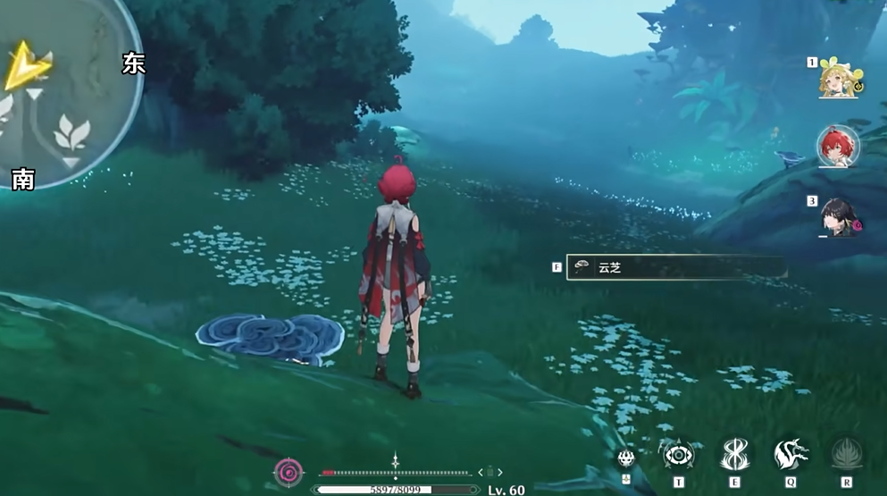 鸣潮爱心草在哪里 鸣潮爱心草在哪里