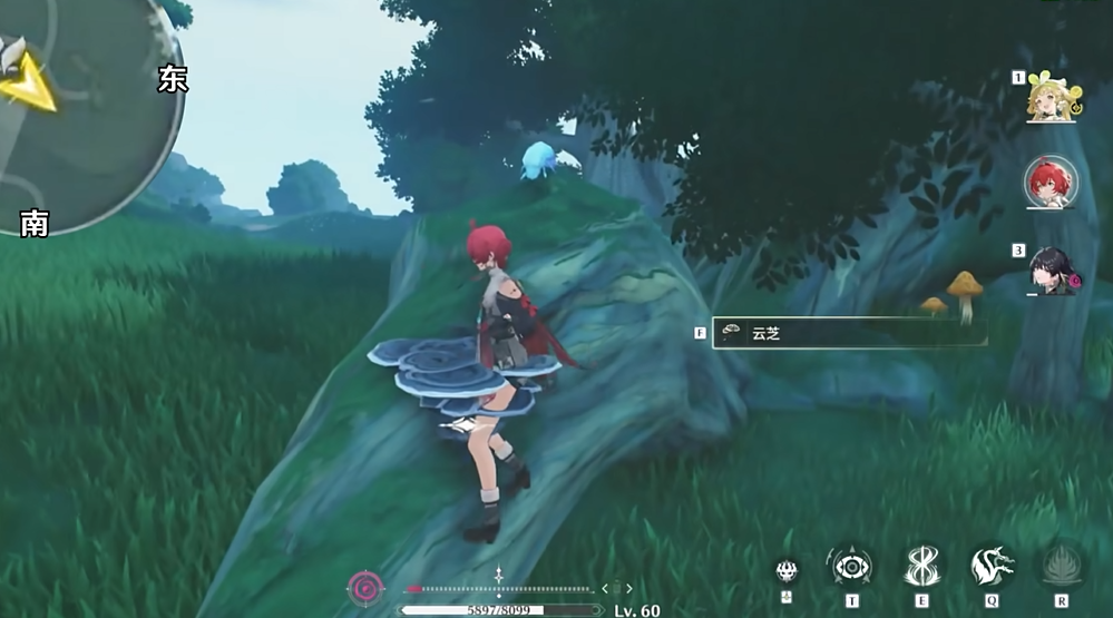 鸣潮爱心草在哪里 鸣潮爱心草在哪里