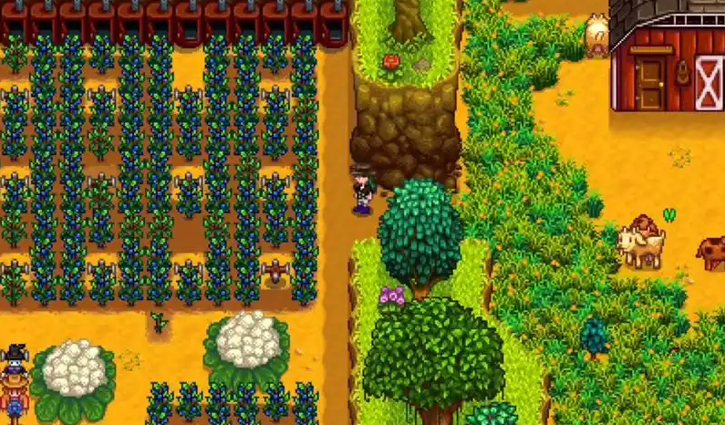 星露谷物语夏天种什么好