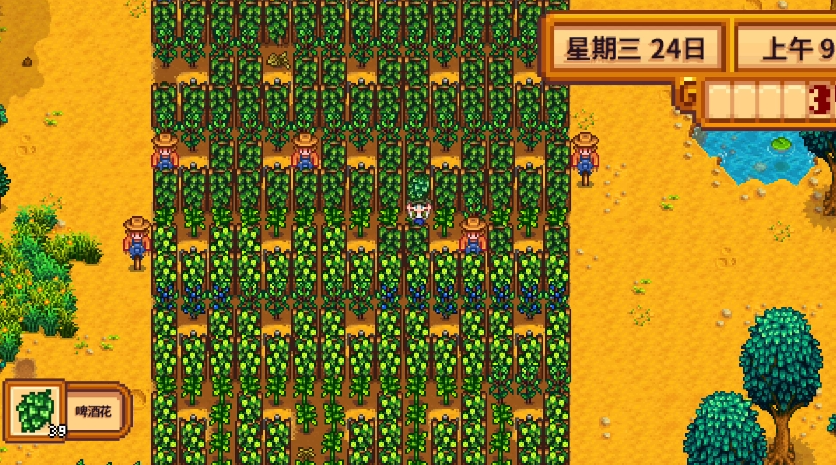 星露谷物语夏天种什么好