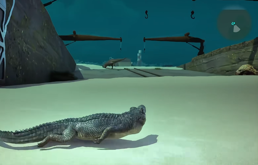 恐龙岛母龙怎么拉人