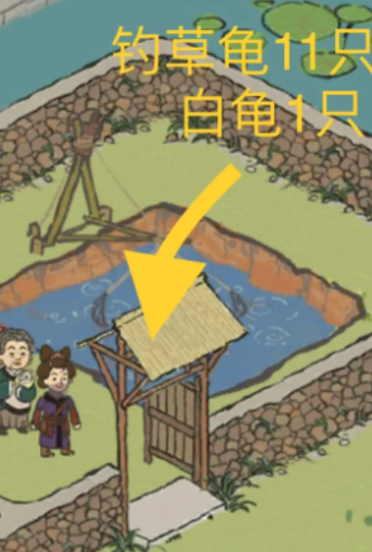 江南百景图草龟白龟在哪