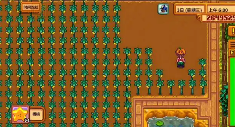 星露谷物语杨桃怎么卖最赚钱