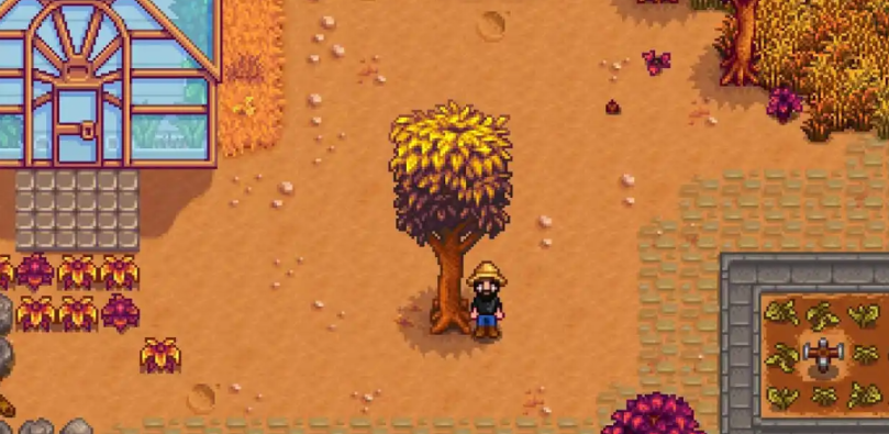 星露谷物语桃花心木怎么种