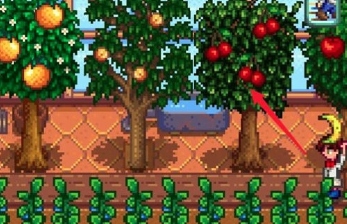 星露谷物语苹果怎么变成醋