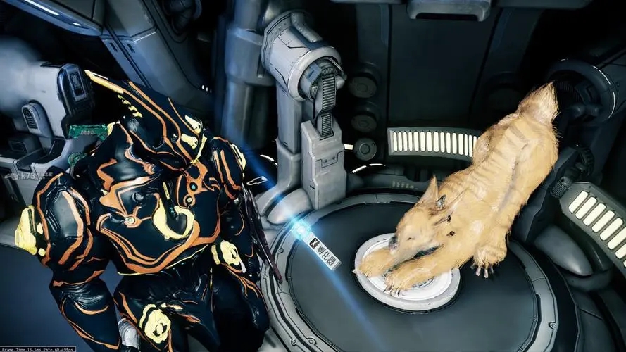 星际战甲库伯任务怎么做