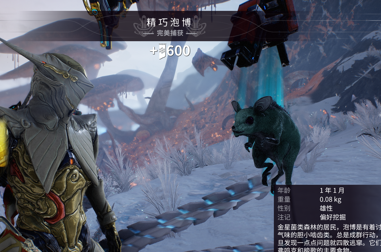 星际战甲福尔图娜任务怎么做