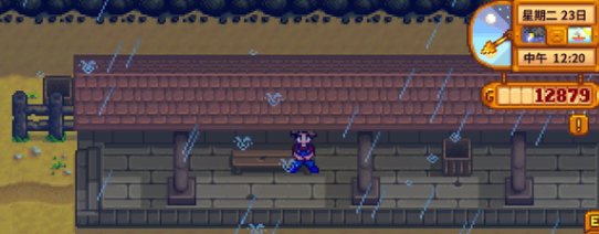 星露谷物语火车站台在哪